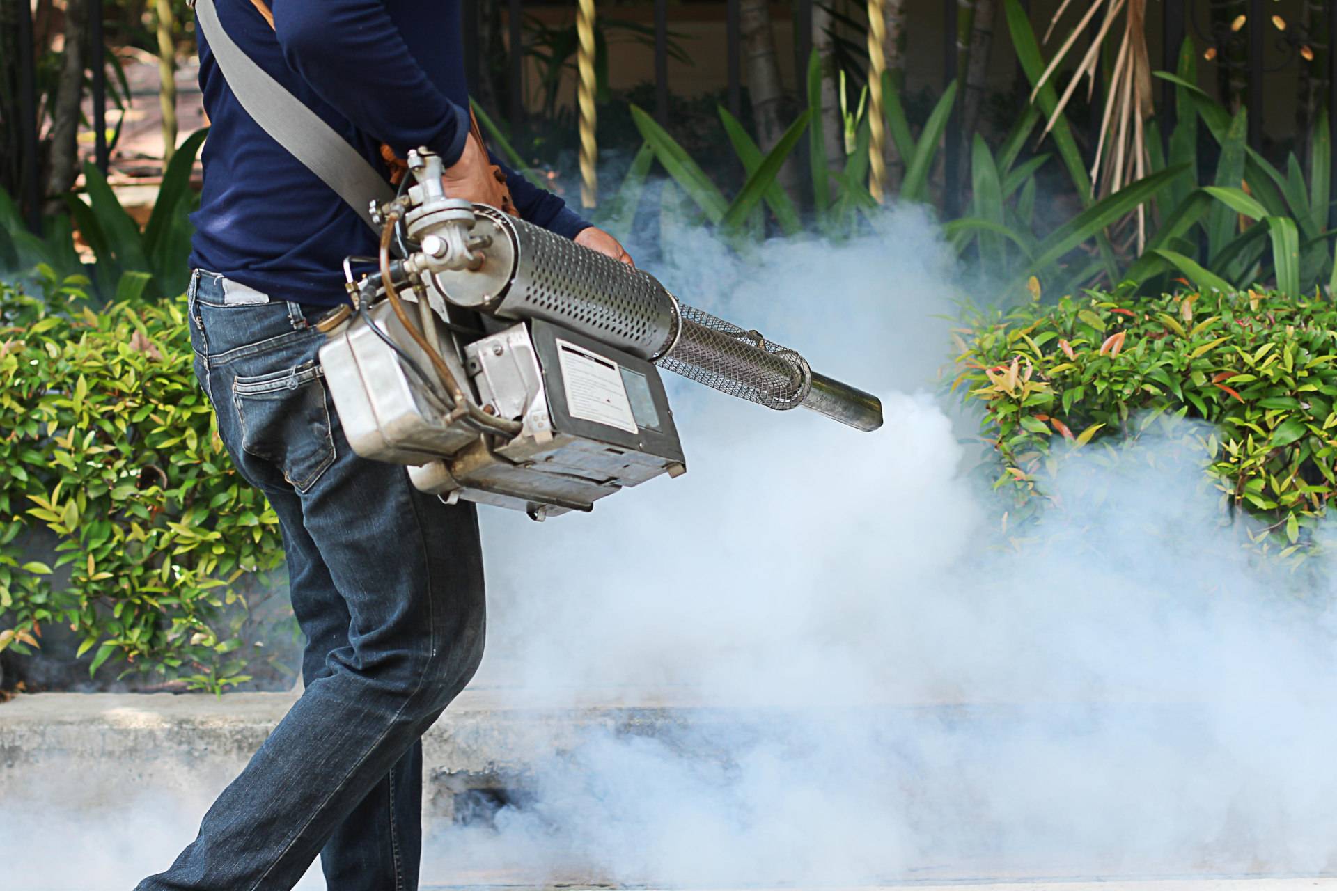 Press Control Insect Insect Control - Family Pest Control